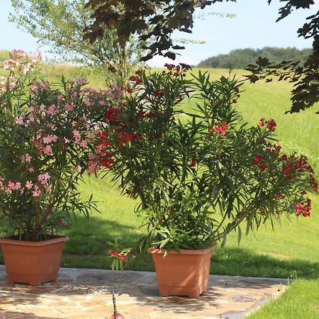 Temmel Holiday home *