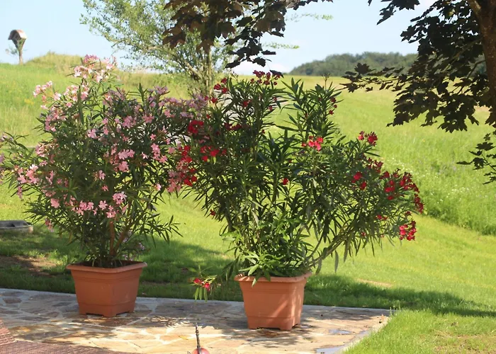 Temmel بيت للعطل *